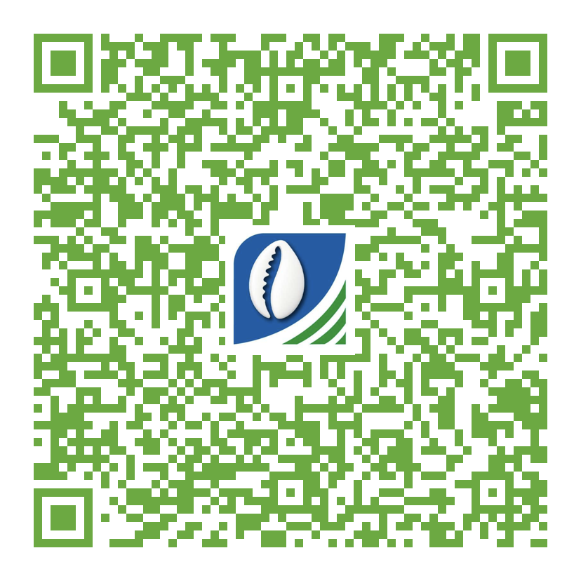 QR code iOS BDU Mobile
